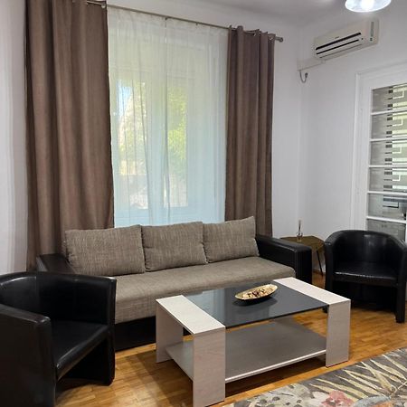 Apartament Victoria ティミショアラ エクステリア 写真
