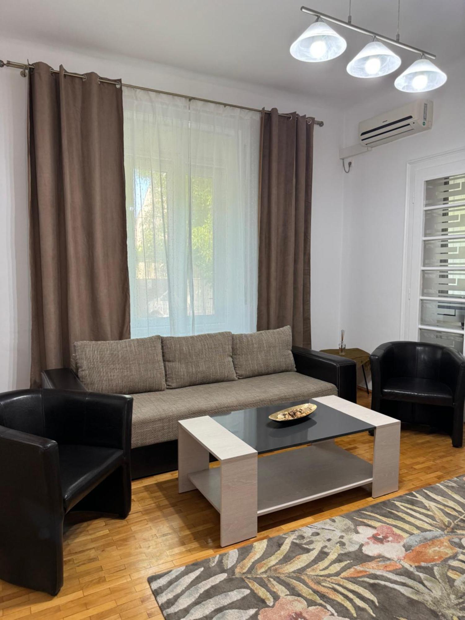 Apartament Victoria ティミショアラ エクステリア 写真