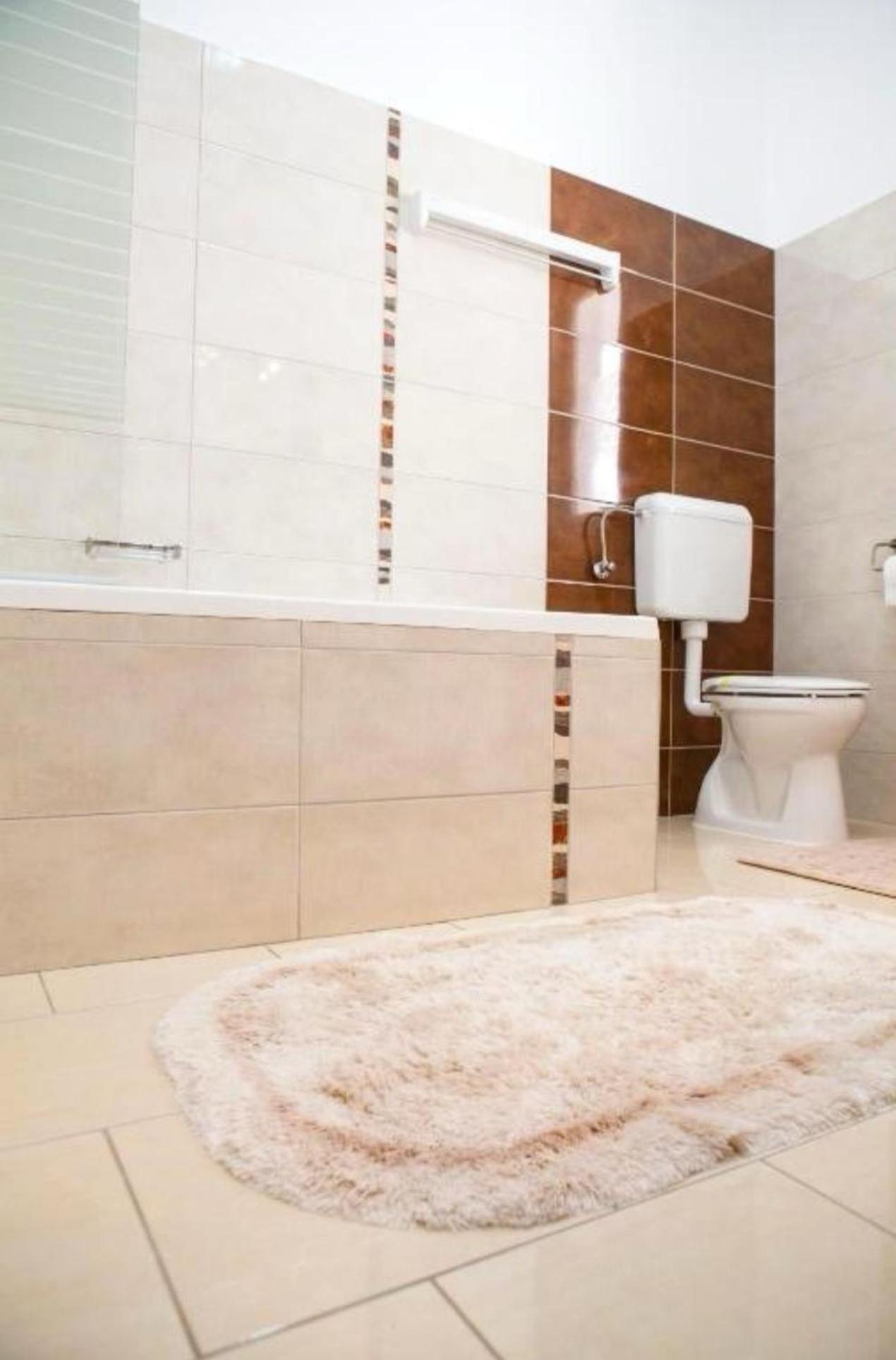 Apartament Victoria ティミショアラ エクステリア 写真