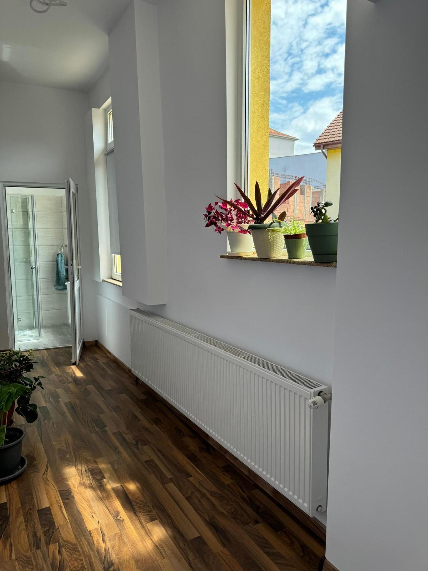 Apartament Victoria ティミショアラ エクステリア 写真