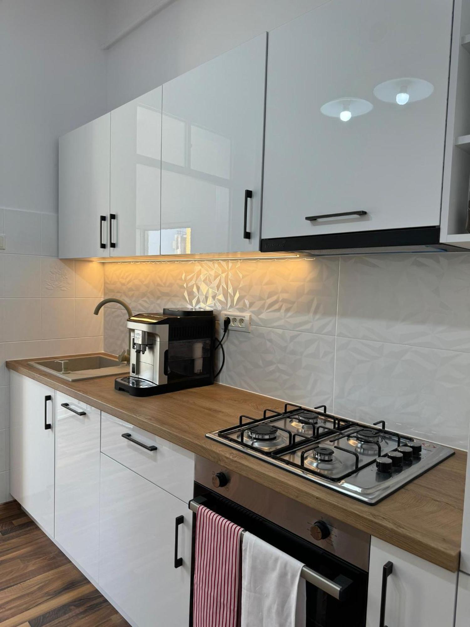 Apartament Victoria ティミショアラ エクステリア 写真