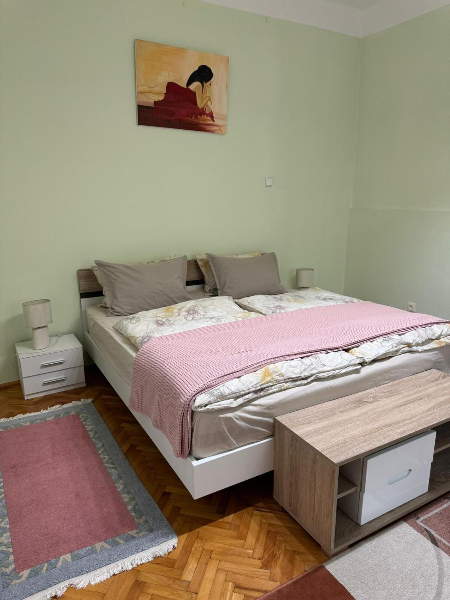 Apartament Victoria ティミショアラ エクステリア 写真
