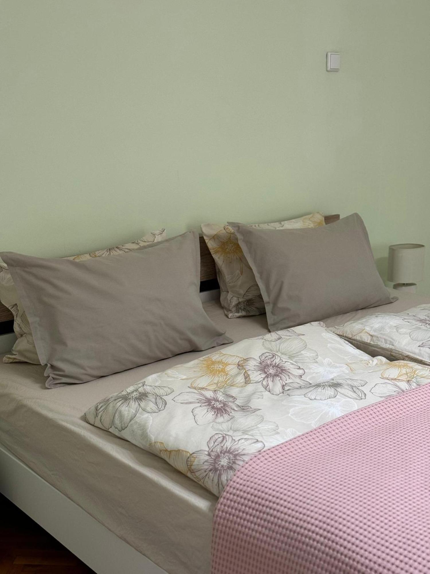 Apartament Victoria ティミショアラ エクステリア 写真