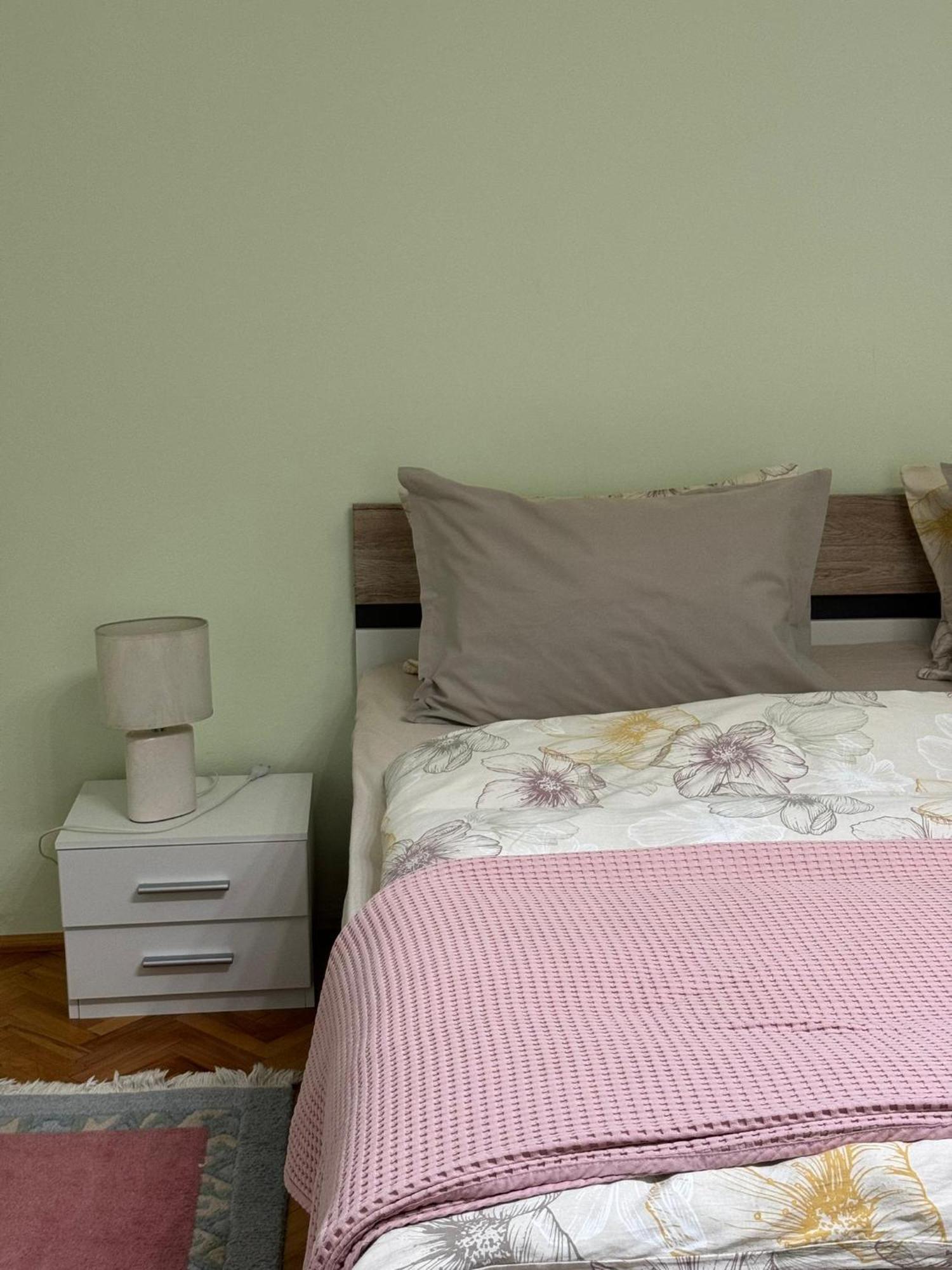 Apartament Victoria ティミショアラ エクステリア 写真