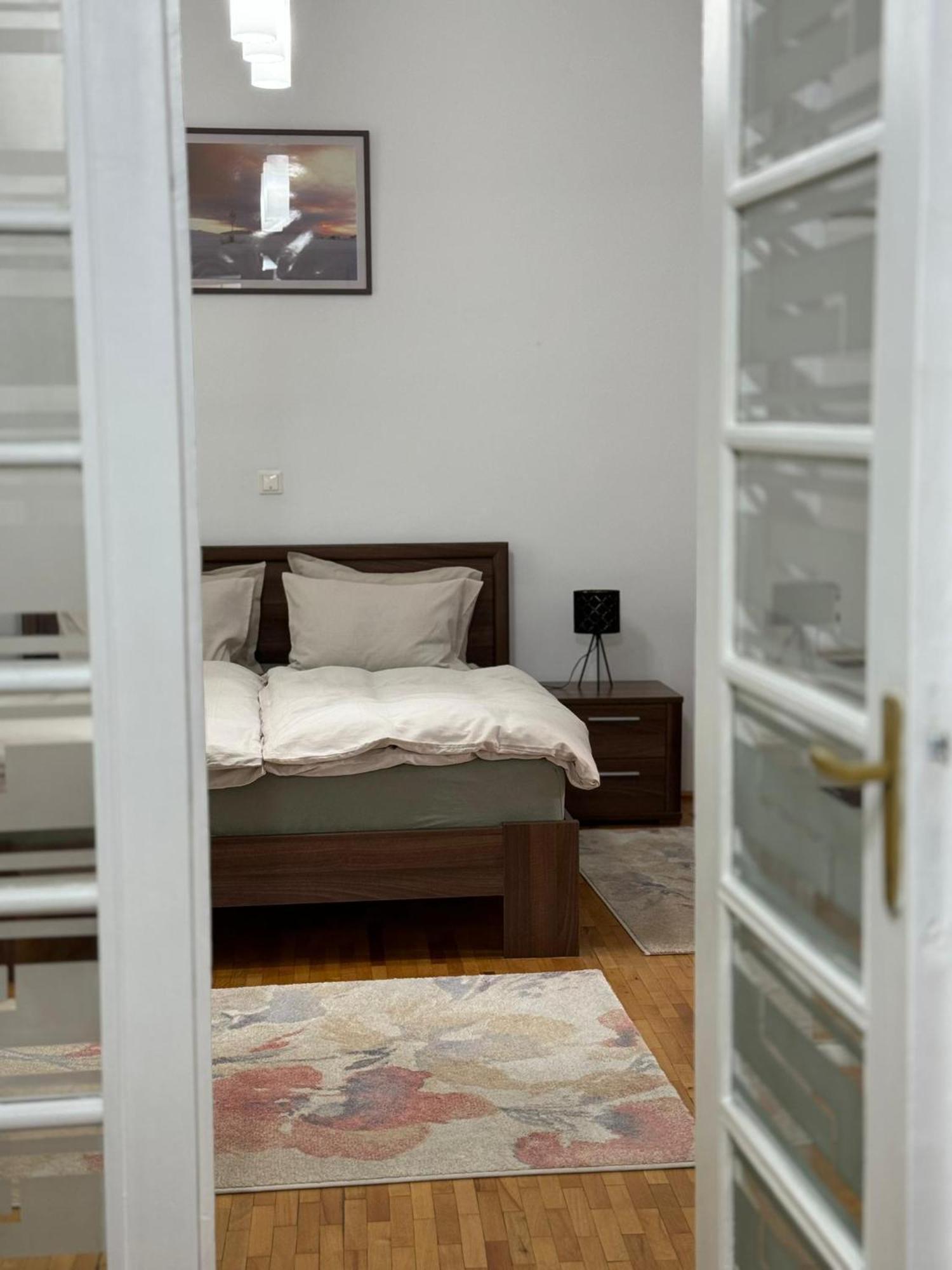 Apartament Victoria ティミショアラ エクステリア 写真